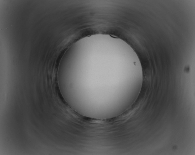 X0000101950139200807171142