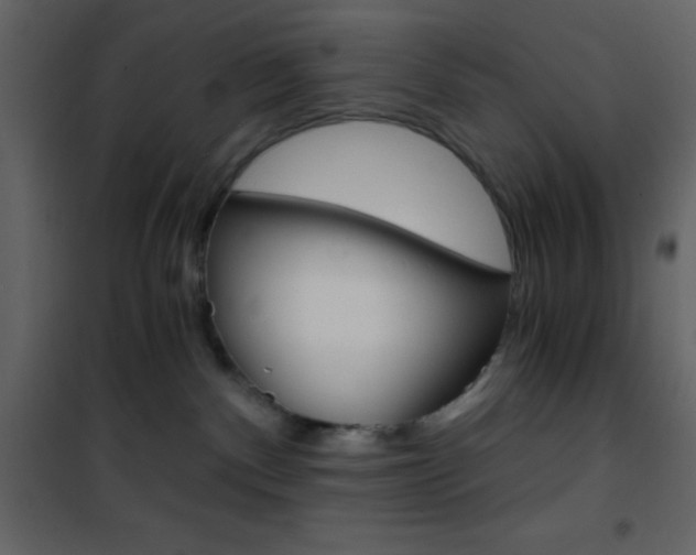 X0000101950140200807171142