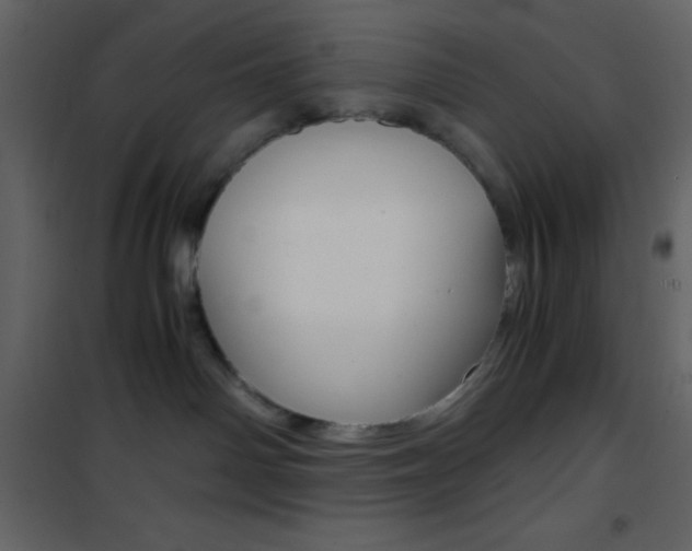 X0000101950142200807171142