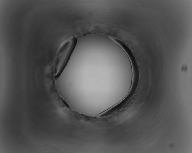X0000101950144200807171142