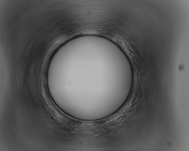 X0000101950145200807171141