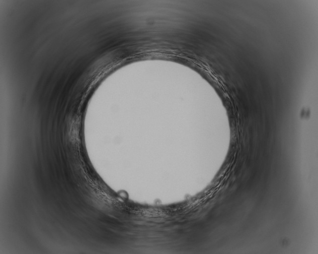 X0000101950146200807171141