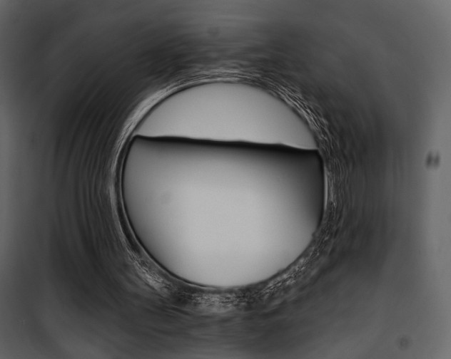 X0000101950147200807171141