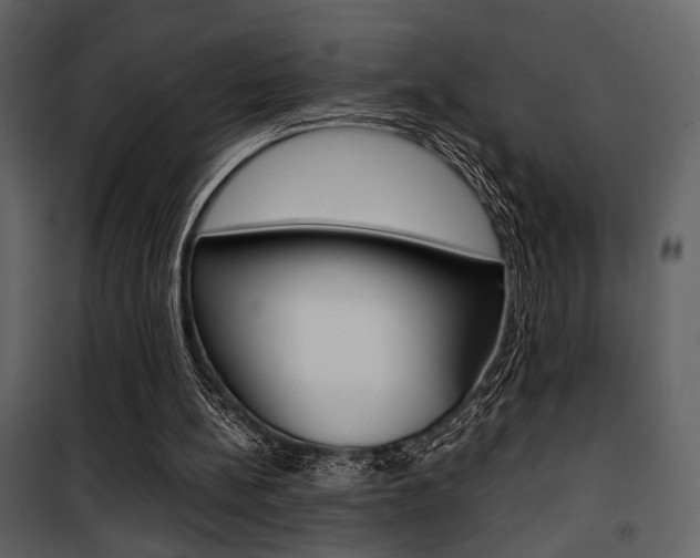 X0000101950148200807171141