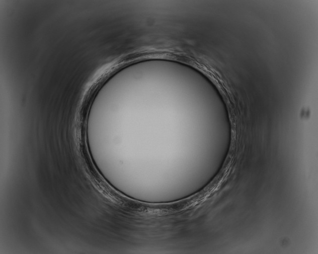 X0000101950149200807171141