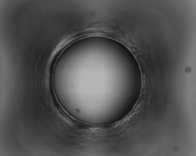 X0000101950150200807171141