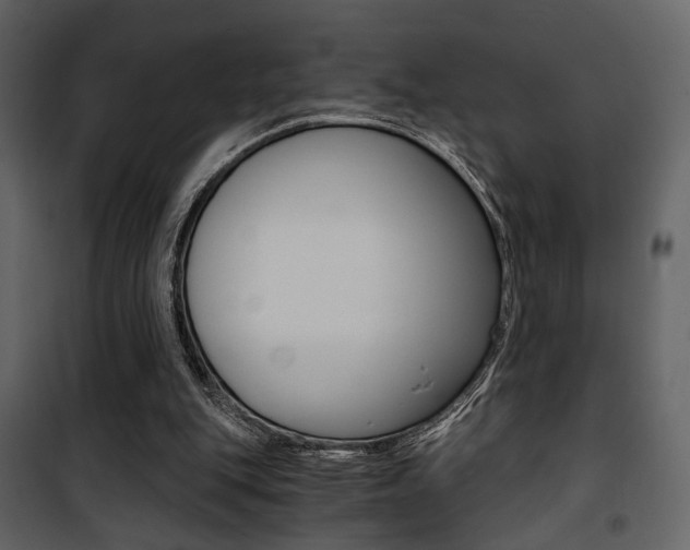 X0000101950151200807171141