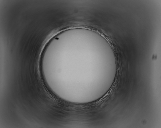 X0000101950152200807171141
