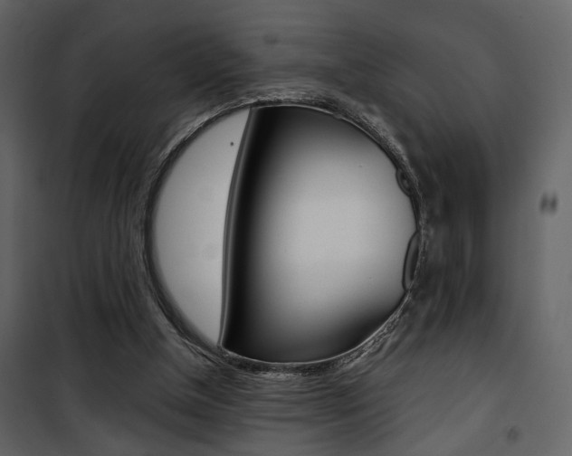 X0000101950154200807171141