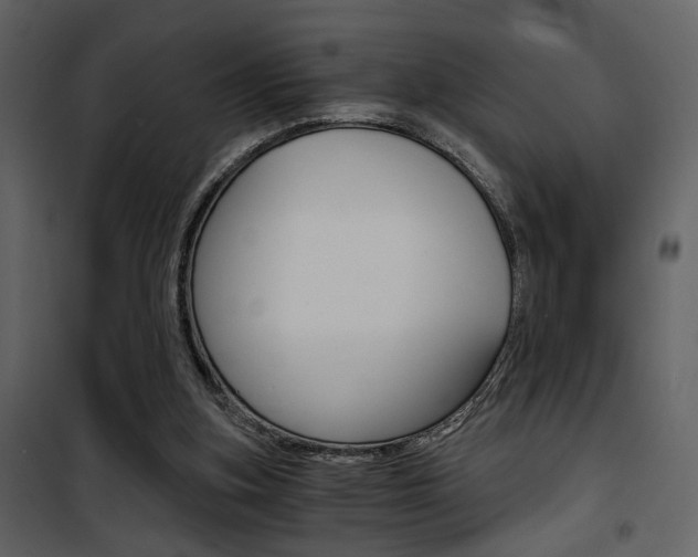 X0000101950155200807171141