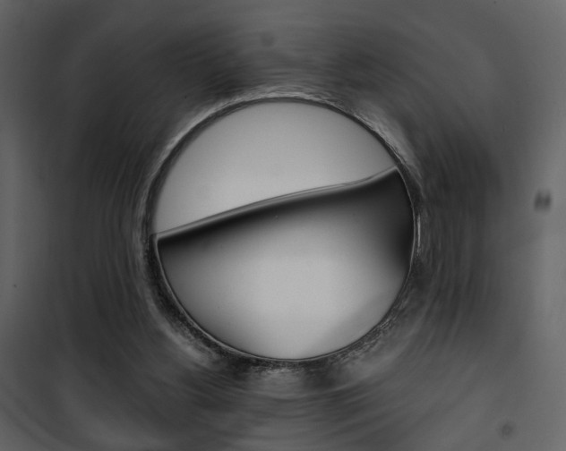 X0000101950156200807171141