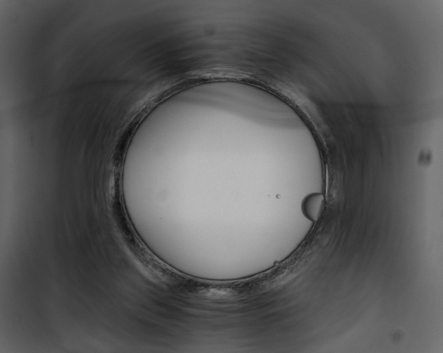 X0000101950157200807171141