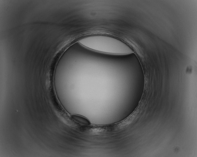 X0000101950158200807171141