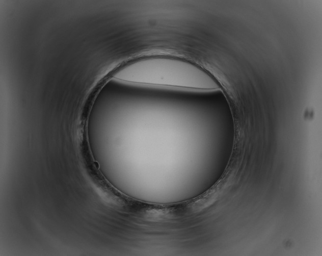 X0000101950160200807171141