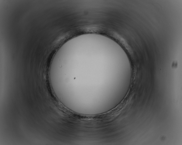 X0000101950161200807171141