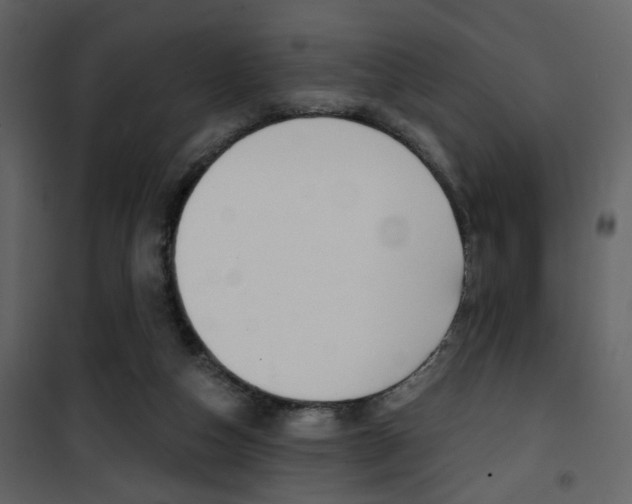 X0000101950162200807171141