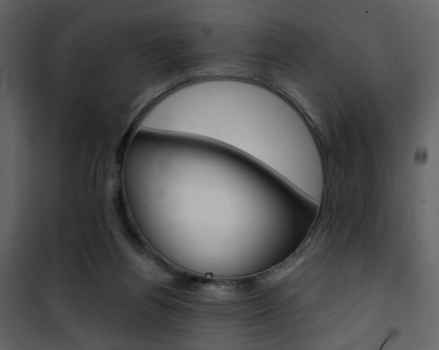 X0000101950164200807171141