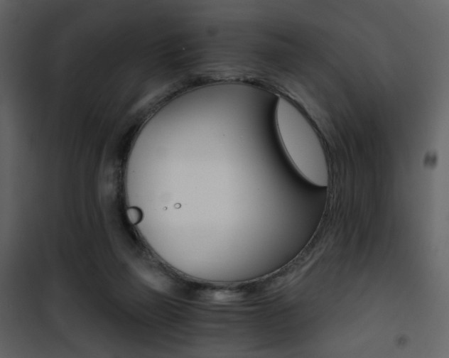 X0000101950165200807171141
