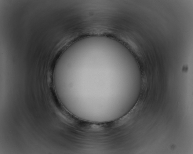 X0000101950166200807171141