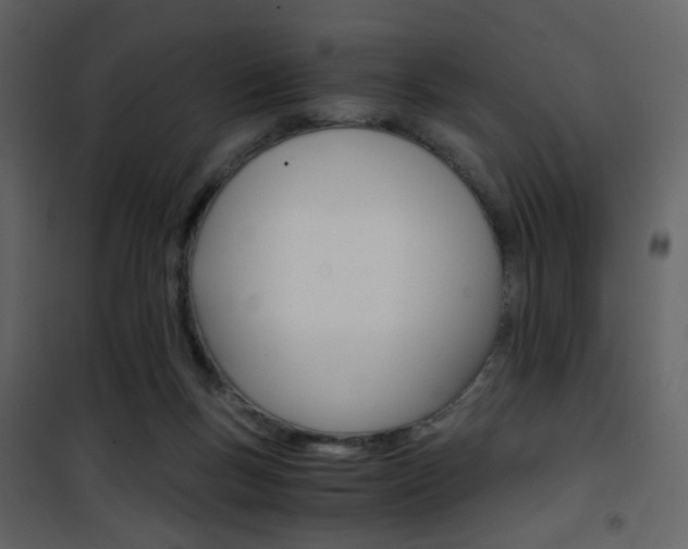 X0000101950167200807171141