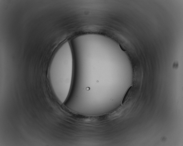 X0000101950168200807171141