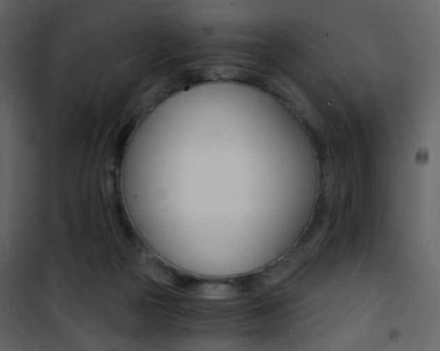 X0000101950169200807171141