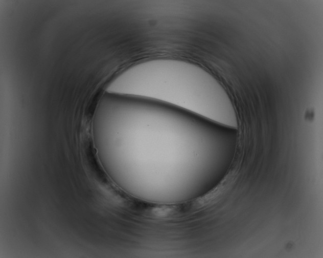 X0000101950172200807171142