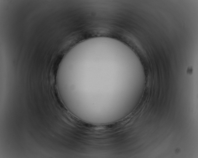 X0000101950173200807171142