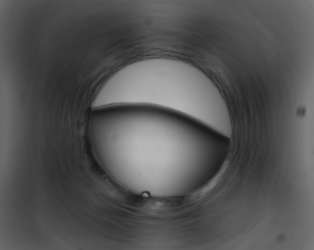 X0000101950174200807171142