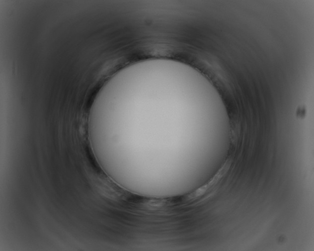 X0000101950175200807171142