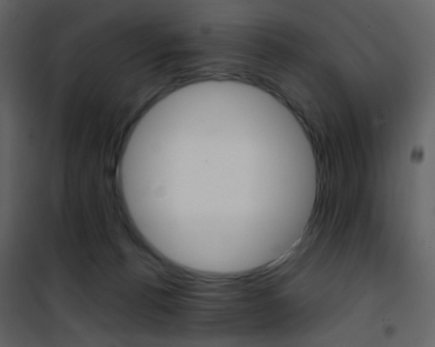 X0000101950176200807171142