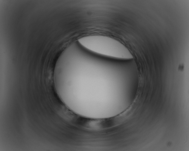 X0000101950178200807171142