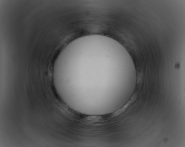 X0000101950179200807171142