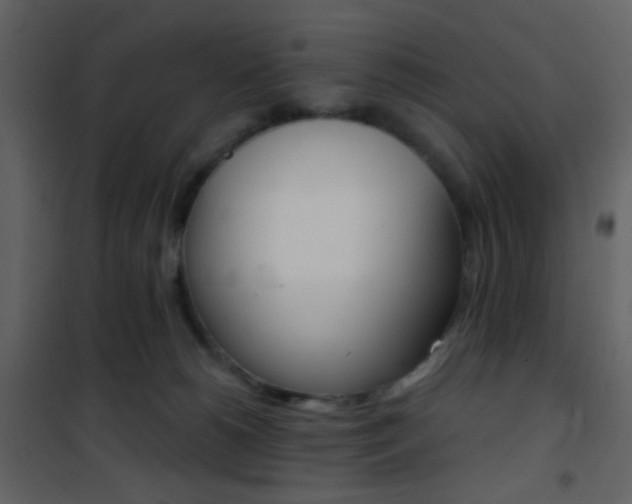 X0000101950180200807171142