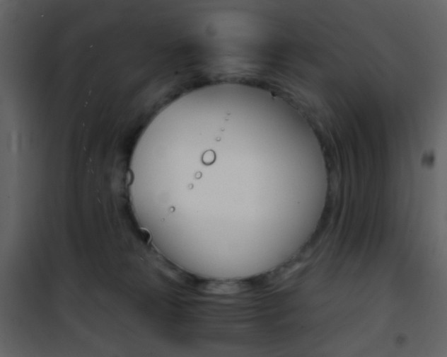X0000101950181200807171142