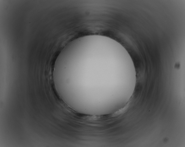 X0000101950182200807171142