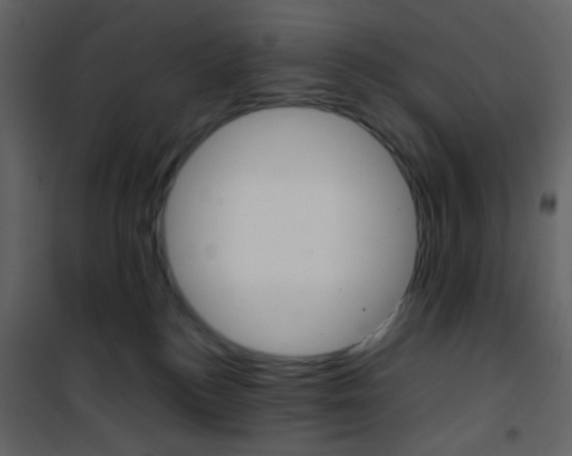 X0000101950184200807171142