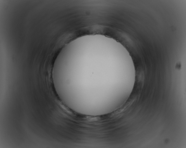 X0000101950185200807171142
