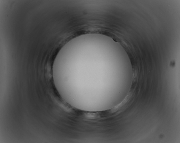 X0000101950187200807171142