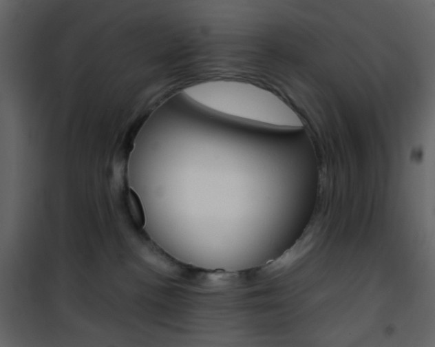 X0000101950188200807171142