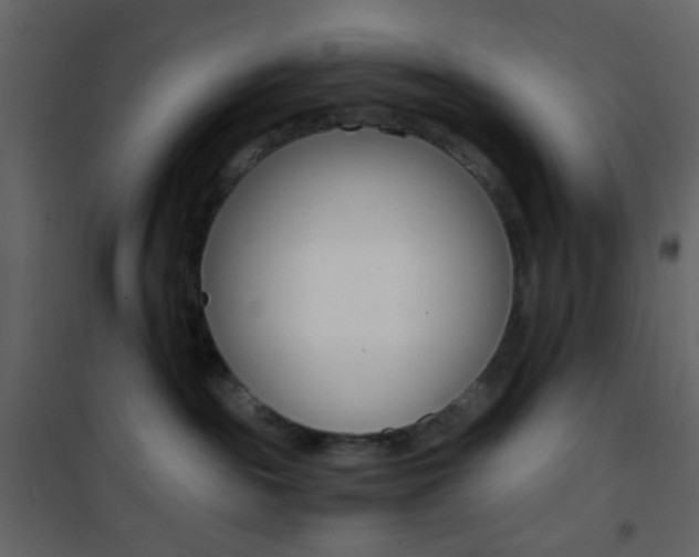 X0000101950189200807171142