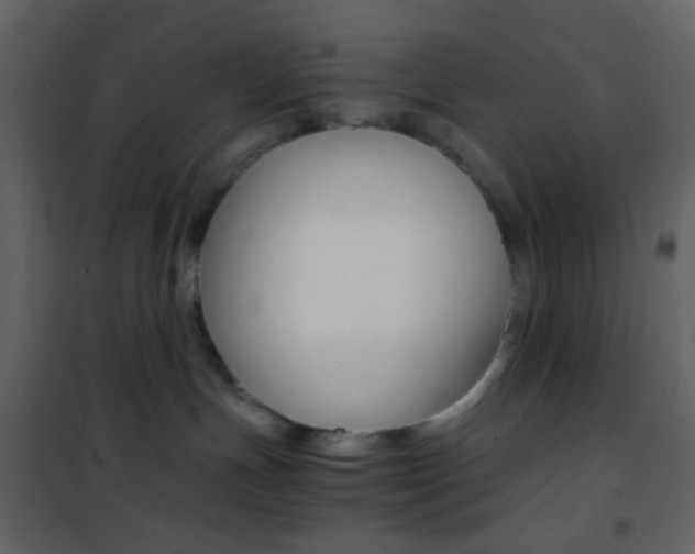 X0000101950191200807171142