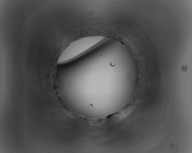 X0000101950192200807171142
