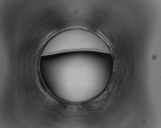X0000101950193200807171141
