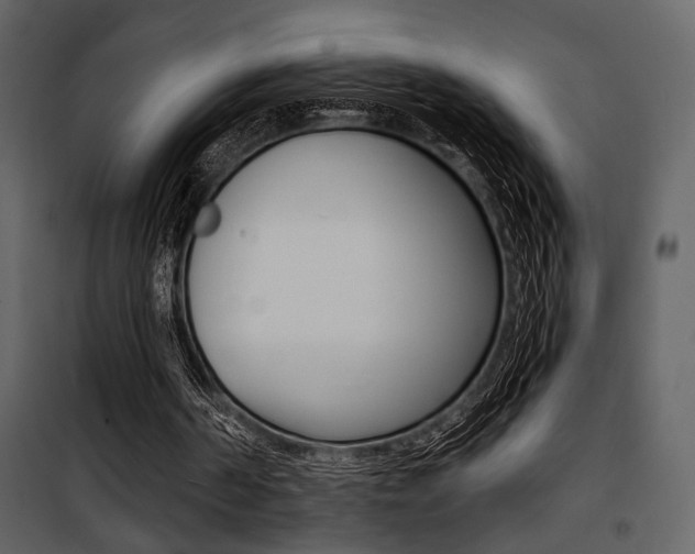 X0000101950194200807171141
