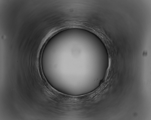 X0000101950195200807171141