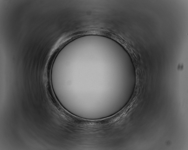 X0000101950198200807171141