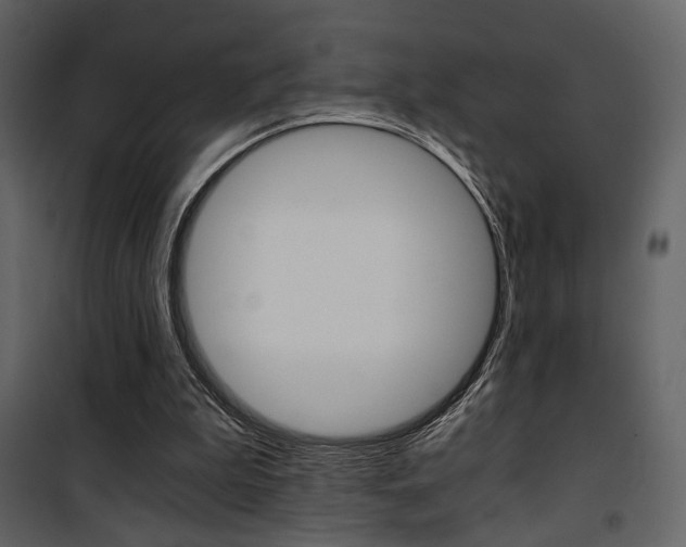 X0000101950199200807171141