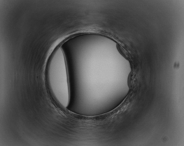 X0000101950200200807171141