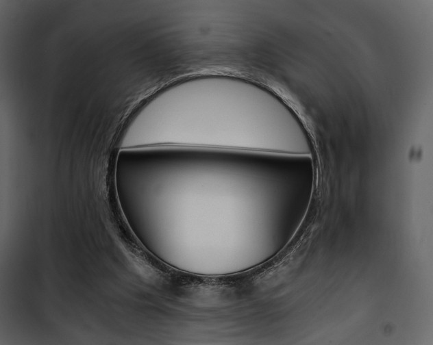X0000101950201200807171141